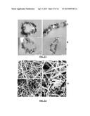 SILICON NANOCOMPOSITE NANOFIBERS diagram and image