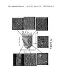 GARNET MATERIALS FOR LI SECONDARY BATTERIES AND METHODS OF MAKING AND     USING GARNET MATERIALS diagram and image