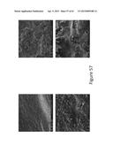 GARNET MATERIALS FOR LI SECONDARY BATTERIES AND METHODS OF MAKING AND     USING GARNET MATERIALS diagram and image