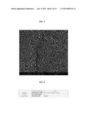 SODIUM-SULFUR DIOXIDE SECONDARY BATTERY AND METHOD OF MANUFACTURING THE     SAME diagram and image