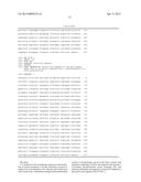 PROKARYOTIC XYLOSE ISOMERASE FOR THE CONSTRUCTION OF XYLOSE-FERMENTING     YEASTS diagram and image