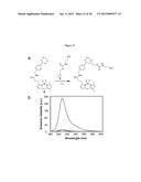 NOVEL TETRAZINES AND METHOD OF SYNTHEZISING THE SAME diagram and image