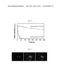 NOVEL TETRAZINES AND METHOD OF SYNTHEZISING THE SAME diagram and image