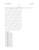 POLYNUCLEOTIDES ENCODING ANTIBODIES diagram and image