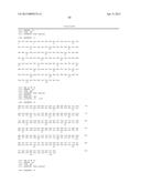 POLYNUCLEOTIDES ENCODING ANTIBODIES diagram and image