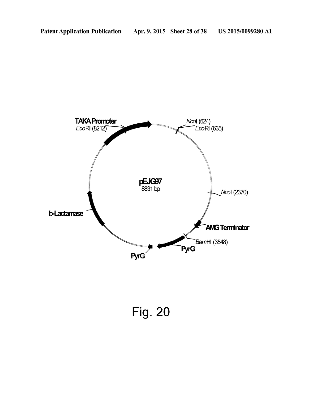 Variants of Beta-Glucosidase - diagram, schematic, and image 29