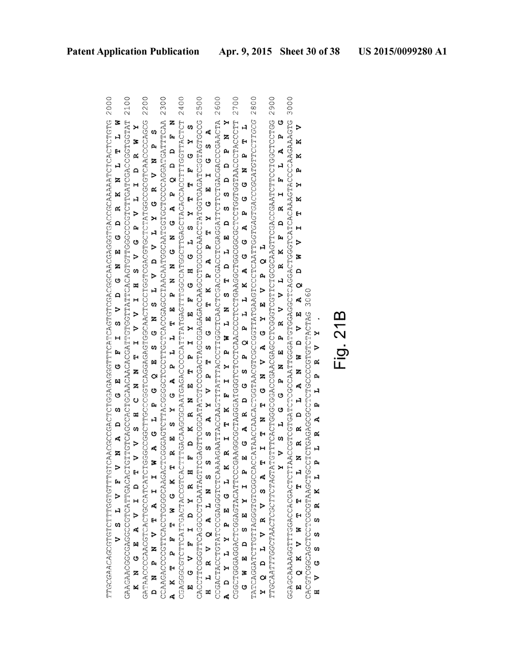 Variants of Beta-Glucosidase - diagram, schematic, and image 31