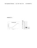 RECOMBINANT PRODUCTION OF AUTHENTIC HUMAN PROTEINS USING HUMAN CELL     EXPRESSION SYSTEMS diagram and image