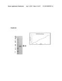 RECOMBINANT PRODUCTION OF AUTHENTIC HUMAN PROTEINS USING HUMAN CELL     EXPRESSION SYSTEMS diagram and image