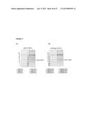 RECOMBINANT PRODUCTION OF AUTHENTIC HUMAN PROTEINS USING HUMAN CELL     EXPRESSION SYSTEMS diagram and image