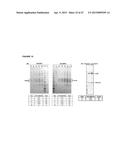 RECOMBINANT PRODUCTION OF AUTHENTIC HUMAN PROTEINS USING HUMAN CELL     EXPRESSION SYSTEMS diagram and image