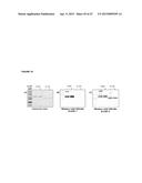 RECOMBINANT PRODUCTION OF AUTHENTIC HUMAN PROTEINS USING HUMAN CELL     EXPRESSION SYSTEMS diagram and image