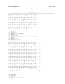 RECOMBINANT PRODUCTION OF AUTHENTIC HUMAN PROTEINS USING HUMAN CELL     EXPRESSION SYSTEMS diagram and image