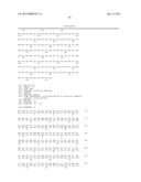 RECOMBINANT PRODUCTION OF AUTHENTIC HUMAN PROTEINS USING HUMAN CELL     EXPRESSION SYSTEMS diagram and image