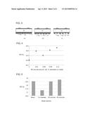 SOLAR CELL AND MANUFACTURING METHOD OF THE SAME diagram and image