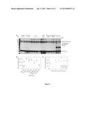 Compositions and Methods for Constructing cDNA Libraries that Allow for     Mapping the 5  and 3  Ends of RNAs diagram and image