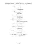 Compositions and Methods for Constructing cDNA Libraries that Allow for     Mapping the 5  and 3  Ends of RNAs diagram and image