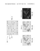 IDENTIFICATION AND SUSCEPTIBILITY OF MICROORGANISMS BY SPECIES AND STRAIN diagram and image