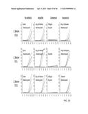 IDENTIFICATION AND SUSCEPTIBILITY OF MICROORGANISMS BY SPECIES AND STRAIN diagram and image