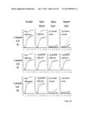 IDENTIFICATION AND SUSCEPTIBILITY OF MICROORGANISMS BY SPECIES AND STRAIN diagram and image