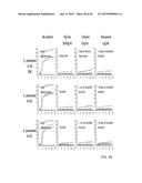 IDENTIFICATION AND SUSCEPTIBILITY OF MICROORGANISMS BY SPECIES AND STRAIN diagram and image