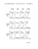 IDENTIFICATION AND SUSCEPTIBILITY OF MICROORGANISMS BY SPECIES AND STRAIN diagram and image