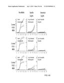 IDENTIFICATION AND SUSCEPTIBILITY OF MICROORGANISMS BY SPECIES AND STRAIN diagram and image