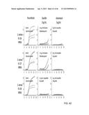 IDENTIFICATION AND SUSCEPTIBILITY OF MICROORGANISMS BY SPECIES AND STRAIN diagram and image