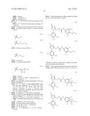 Substituted Phenylureas and Phenylamides as Vanilloid Receptor Ligands diagram and image