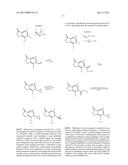 INHIBITORS OF THE RENAL OUTER MEDULLARY POTASSIUM CHANNEL diagram and image