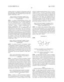 INHIBITORS OF THE RENAL OUTER MEDULLARY POTASSIUM CHANNEL diagram and image