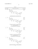 INHIBITORS OF THE RENAL OUTER MEDULLARY POTASSIUM CHANNEL diagram and image