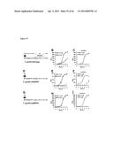 Compounds and Methods for Treating Mammalian Gastrointestinal Microbial     Infections diagram and image