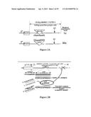 Compositions and Methods for Gene Silencing diagram and image