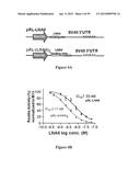 Compositions and Methods for Gene Silencing diagram and image