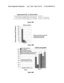 Compositions and Methods for Gene Silencing diagram and image