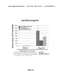 Compositions and Methods for Gene Silencing diagram and image