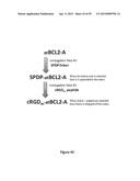 Compositions and Methods for Gene Silencing diagram and image