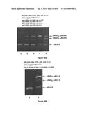 Compositions and Methods for Gene Silencing diagram and image