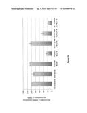 Compositions and Methods for Gene Silencing diagram and image