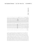 REGULATION OF GALACTAN SYNTHASE EXPRESSION TO MODIFY GALACTAN CONTENT IN     PLANTS diagram and image