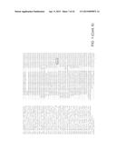 REGULATION OF GALACTAN SYNTHASE EXPRESSION TO MODIFY GALACTAN CONTENT IN     PLANTS diagram and image