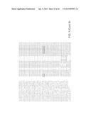 REGULATION OF GALACTAN SYNTHASE EXPRESSION TO MODIFY GALACTAN CONTENT IN     PLANTS diagram and image