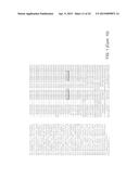 REGULATION OF GALACTAN SYNTHASE EXPRESSION TO MODIFY GALACTAN CONTENT IN     PLANTS diagram and image