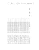 REGULATION OF GALACTAN SYNTHASE EXPRESSION TO MODIFY GALACTAN CONTENT IN     PLANTS diagram and image