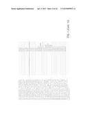 REGULATION OF GALACTAN SYNTHASE EXPRESSION TO MODIFY GALACTAN CONTENT IN     PLANTS diagram and image