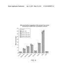 REGULATION OF GALACTAN SYNTHASE EXPRESSION TO MODIFY GALACTAN CONTENT IN     PLANTS diagram and image