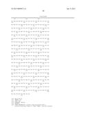 REGULATION OF GALACTAN SYNTHASE EXPRESSION TO MODIFY GALACTAN CONTENT IN     PLANTS diagram and image