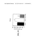 INHIBITION OF INFLAMMATORY CYTOKINE PRODUCTION BY CHOLINERGIC AGONISTS AND     VAGUS NERVE STIMULATION diagram and image