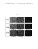 SAMPLE ANALYZING CHIP diagram and image